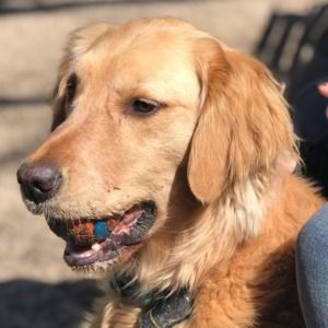 Meet your Posher, Kathryn